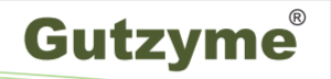 gutzyme